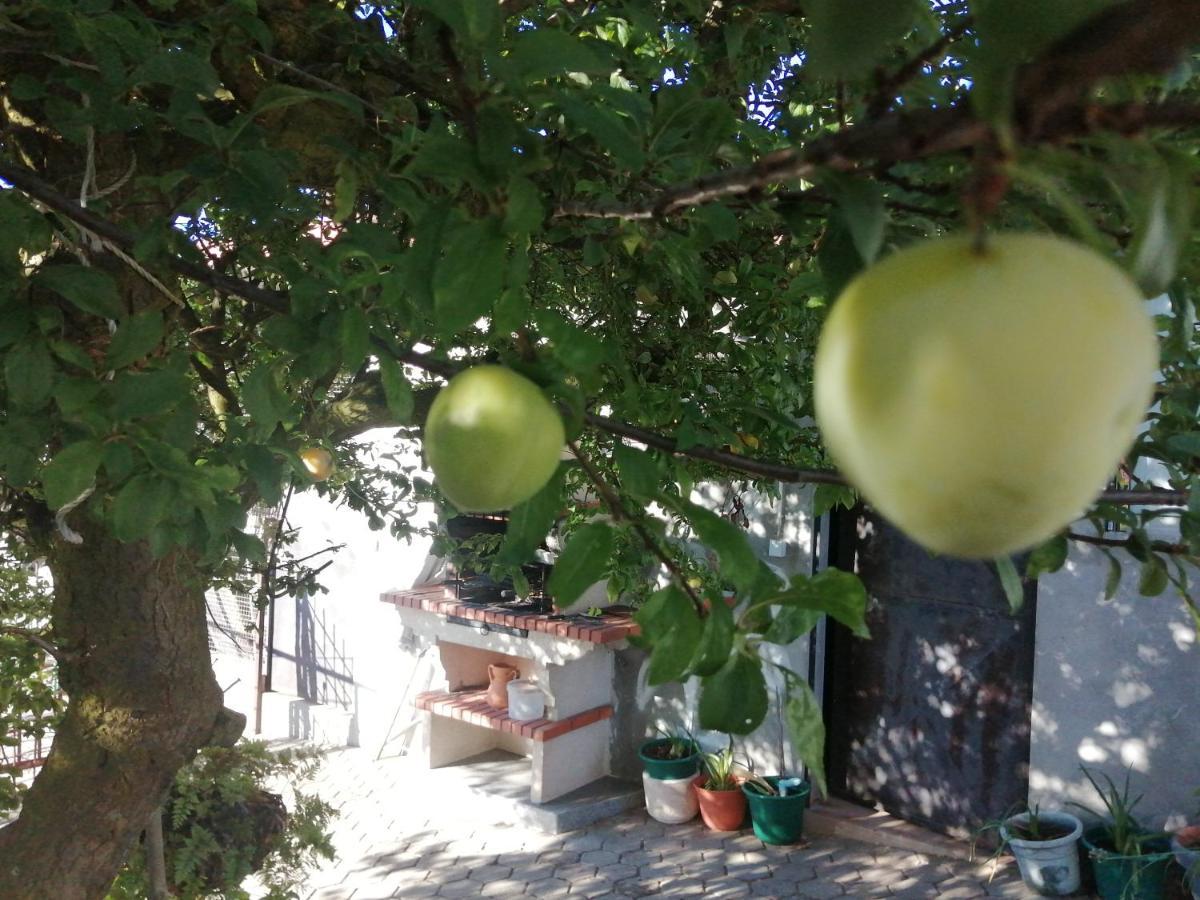 Вилла Quinta Lugar Da Veiga Winery Guiaes Экстерьер фото