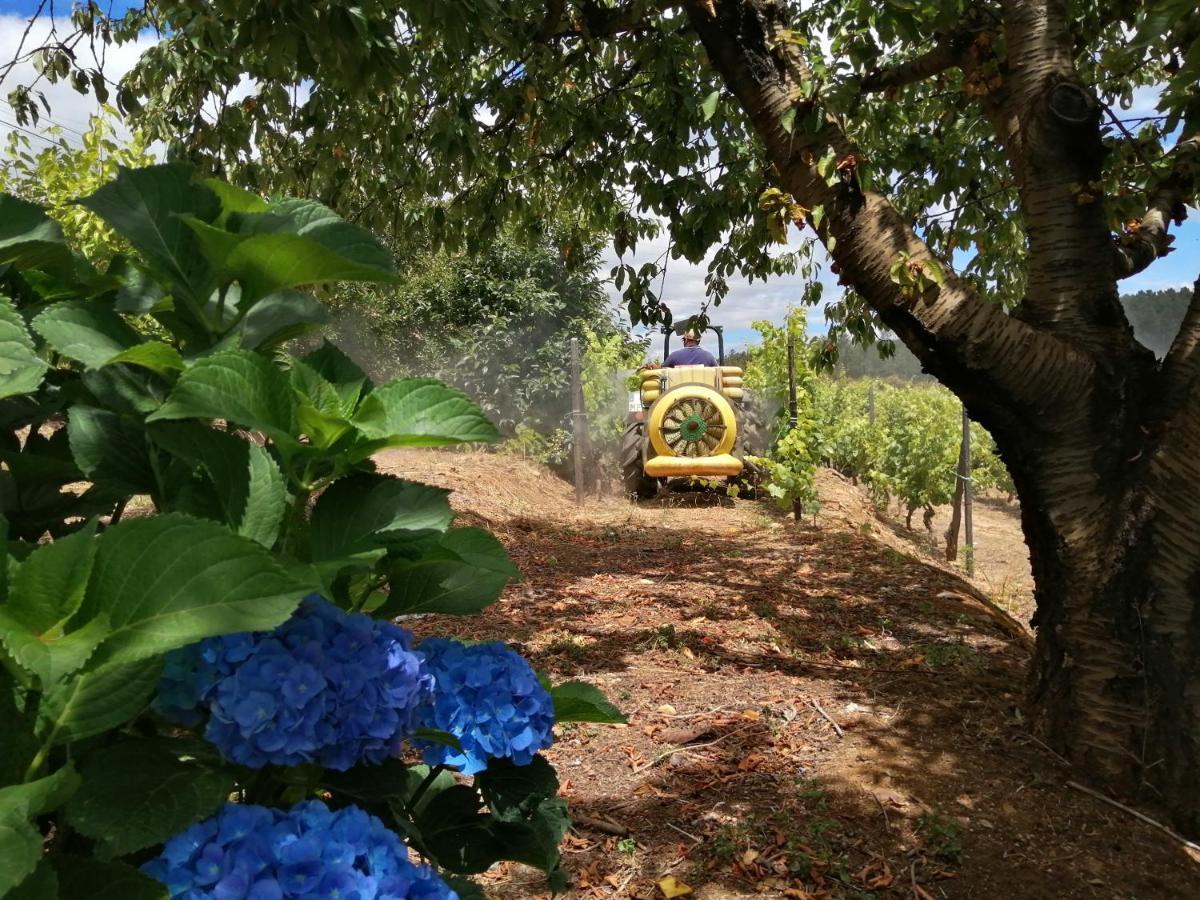 Вилла Quinta Lugar Da Veiga Winery Guiaes Экстерьер фото